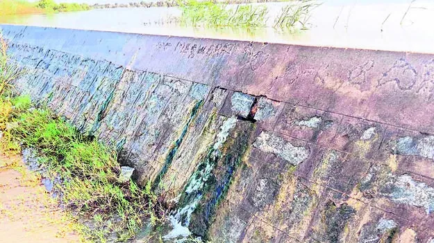 LEAKAGE: చెరువు మరువ లీకేజీ