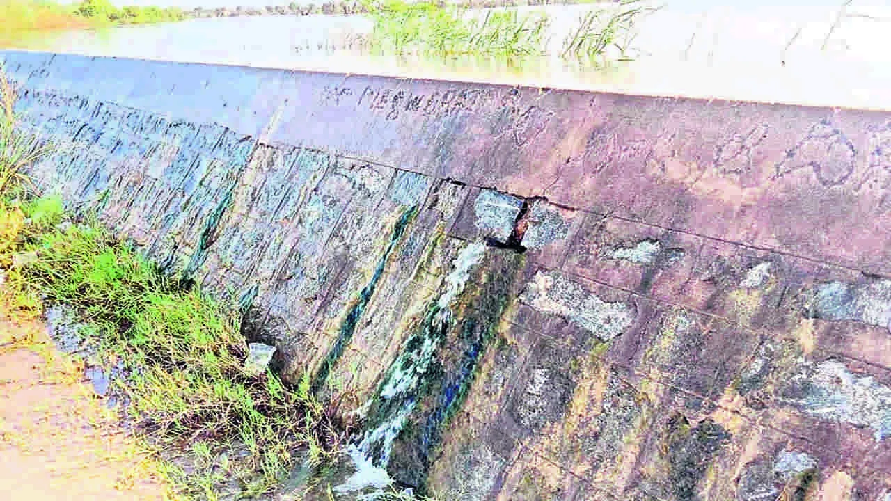 LEAKAGE: చెరువు మరువ లీకేజీ