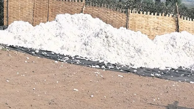 kumaram bheem asifabad- అమ్ముదామా..ఆగుదామా..