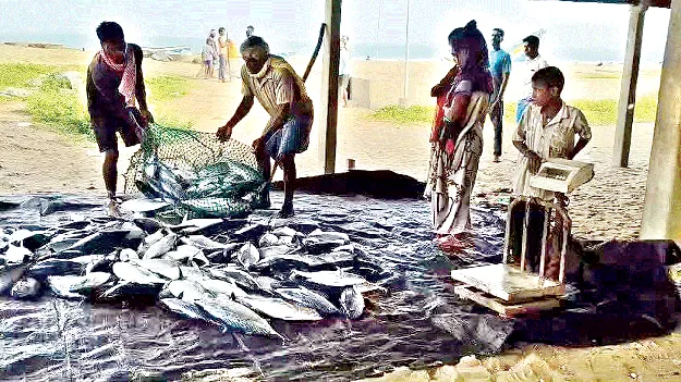 మత్స్యకారుల శ్రమదోపిడీ!