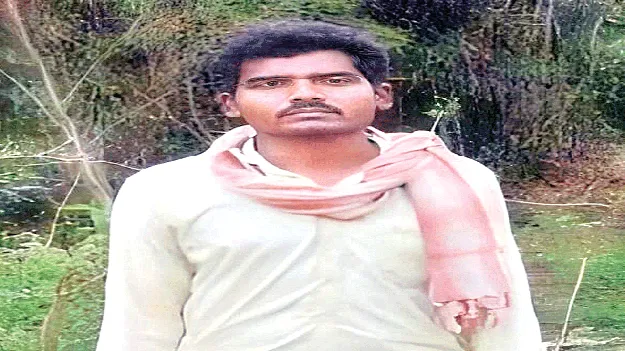 వరి నారు పొలానికి తీసుకు వెళ్తుండగా..