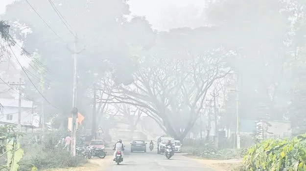 ఇంకా తెలవారదేమి...