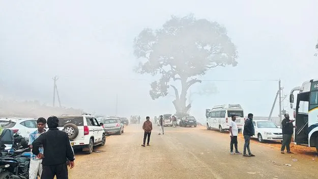 పెరుగుతున్న చలి