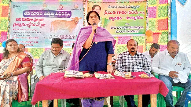 పాడి రైతుల అభ్యున్నతే ధ్యేయం: శిరీష