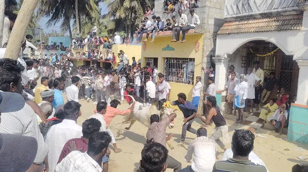 కోలాహలంగా మైలారు పండుగ