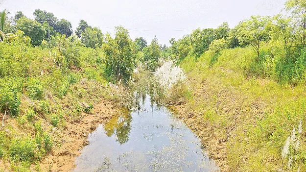 ‘పూర్వోదయం’తో  సస్యశ్యామలం