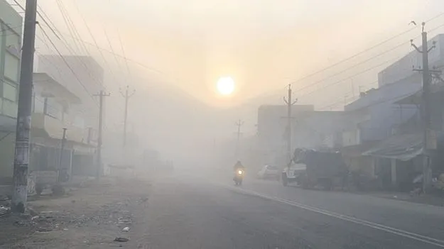 తగ్గని పొగమంచు 