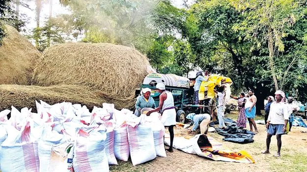 ధాన్యం సేకరణలో దూకుడు