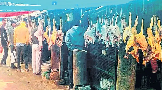 యథేచ్ఛగా మాంసం, చేపల విక్రయాలు