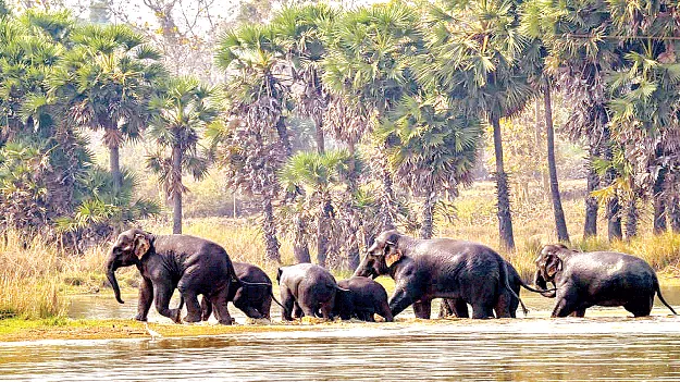 Gaja Gaja ‘గజ’గజ