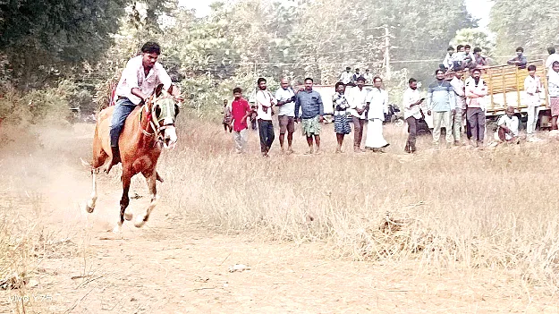 సందడిగా అమ్మవార్ల తీర్థాలు