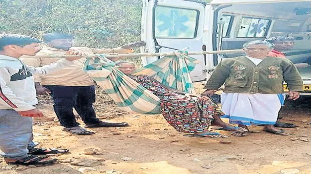 గర్భిణికి తప్పని డోలీమోత