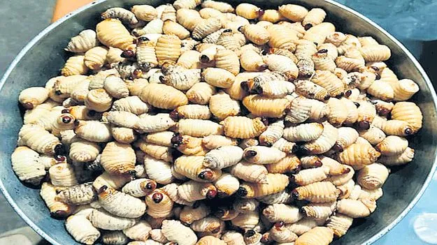 నోరూరించే బొడ్డెంగులు