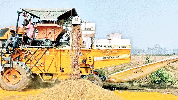 దిగుబడి భళా..ధర డీలా!