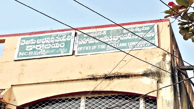 Can sugarcane acreage be increased? చెరకు విస్తీర్ణం పెంచగలరా?