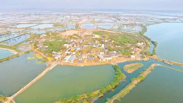 కొల్లేరు సమస్య.. తేల్చేద్దాం!