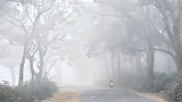 కమ్మేసిన పొగమంచు
