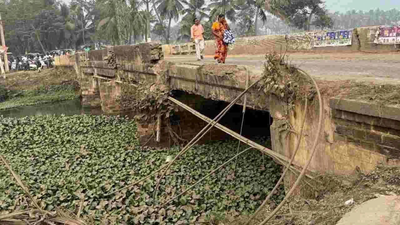 వంతెనల వంతు