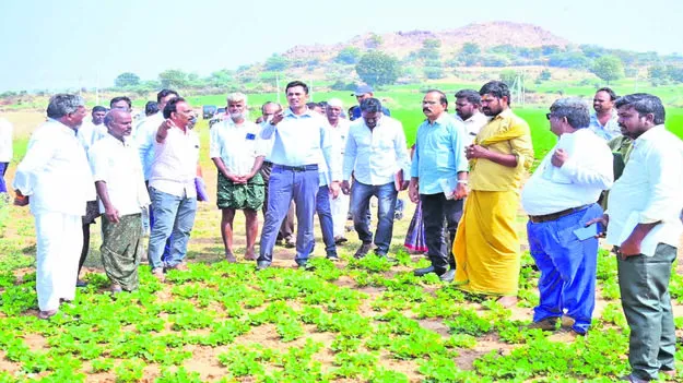 COLLECTOR: రెవెన్యూ సేవలలో జాప్యం వద్దు : కలెక్టర్‌