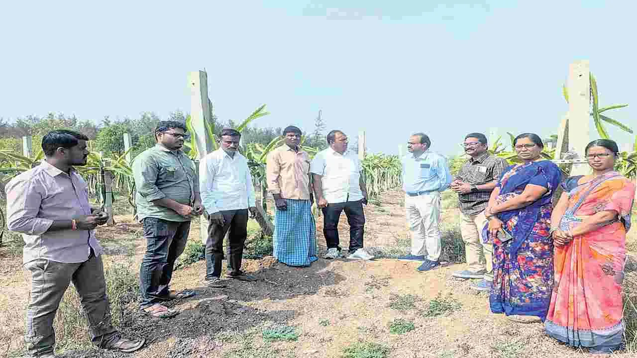 ప్రకృతి వ్యవసాయంపై దృష్టి పెట్టాలి