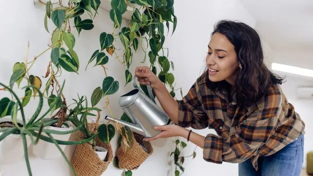 గోడకు ప్రాణం పోద్దాం!