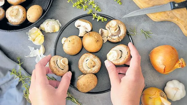 మష్రూమ్స్‌ తిందాం