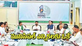 Cabinet Approves Municipal Elections: మునిసిపల్‌ ఎన్నికలకు ఓకే