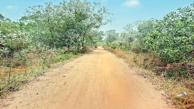 ఇక్కడ బీటీ రోడ్డు వేయొద్దు..