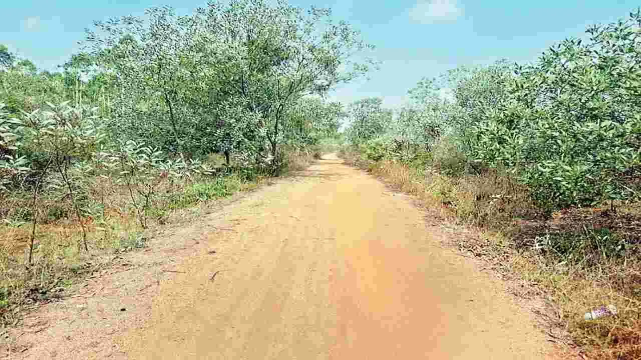 ఇక్కడ బీటీ రోడ్డు వేయొద్దు..