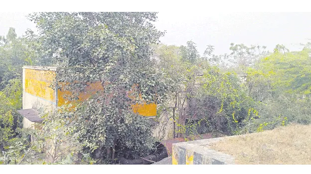 ‘నీరు’పయోగం