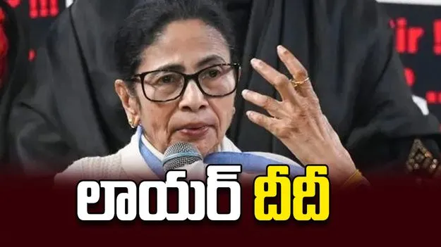 లాయర్‌ దీదీ 