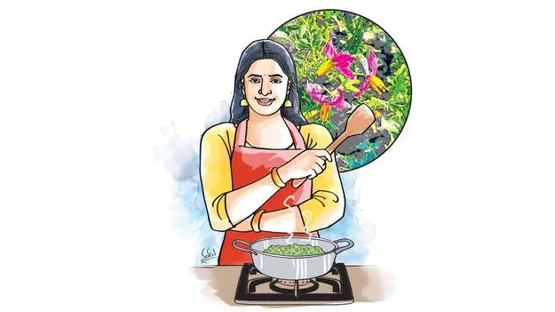 Kantakari Ayurvedic Uses: ఊపిరితిత్తులకు రక్ష కంటకారి