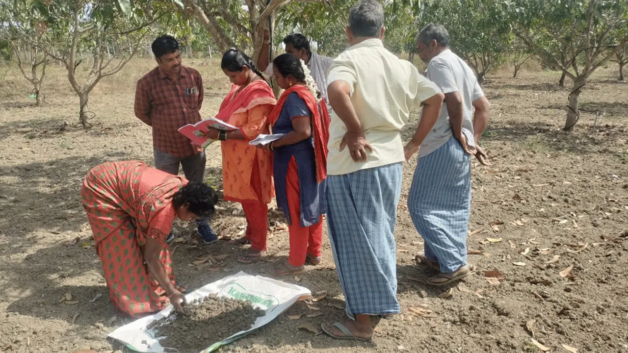 1143 మట్టి నమూనాల సేకరణ 