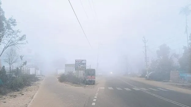 దట్టంగా పొగమంచు 