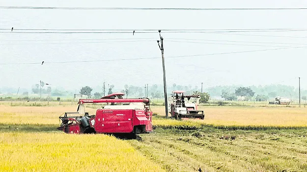 ఆరంభంలో ధాన్యం ధరలు అదుర్స్‌
