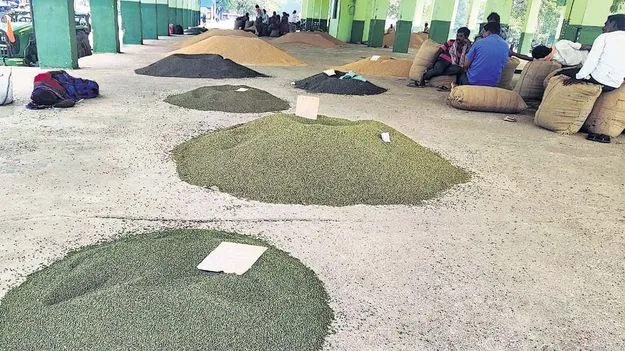 మెట్ట.. తగ్గితే ఎట్టా