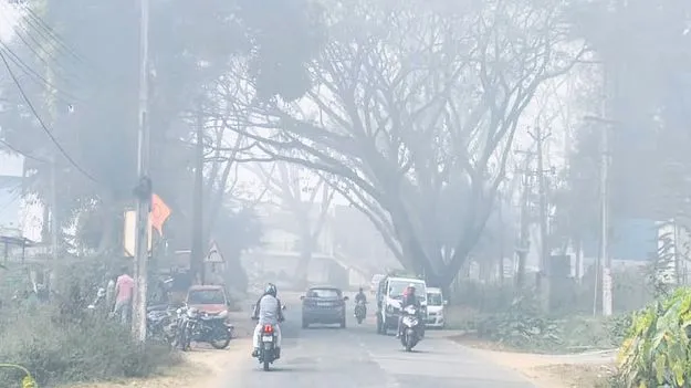 కమ్మేసిన పొగమంచు
