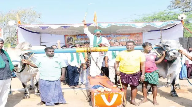  రైతుల శ్రమ, సంస్కృతికి చిహ్నాలు వృషభ రాజాలు