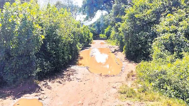 ఎట్టకేలకు గేటువలస- కోనాపురం రోడ్డుకు మోక్షం