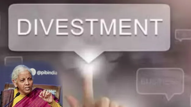 డిజిన్వె్‌స్టమెంట్‌లక్ష్యం రూ.80,000 కోట్లు