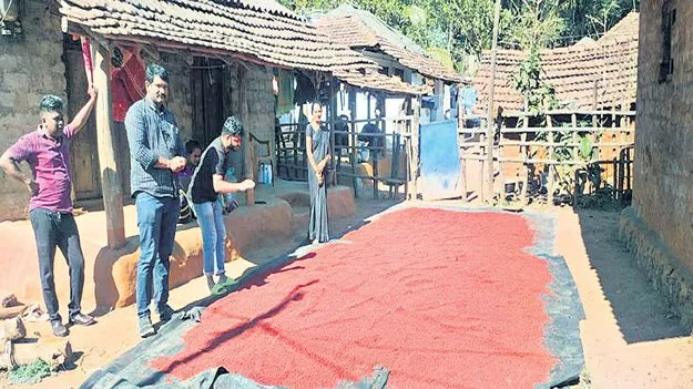 జాఫ్రాకు రికార్డు స్థాయి ధర