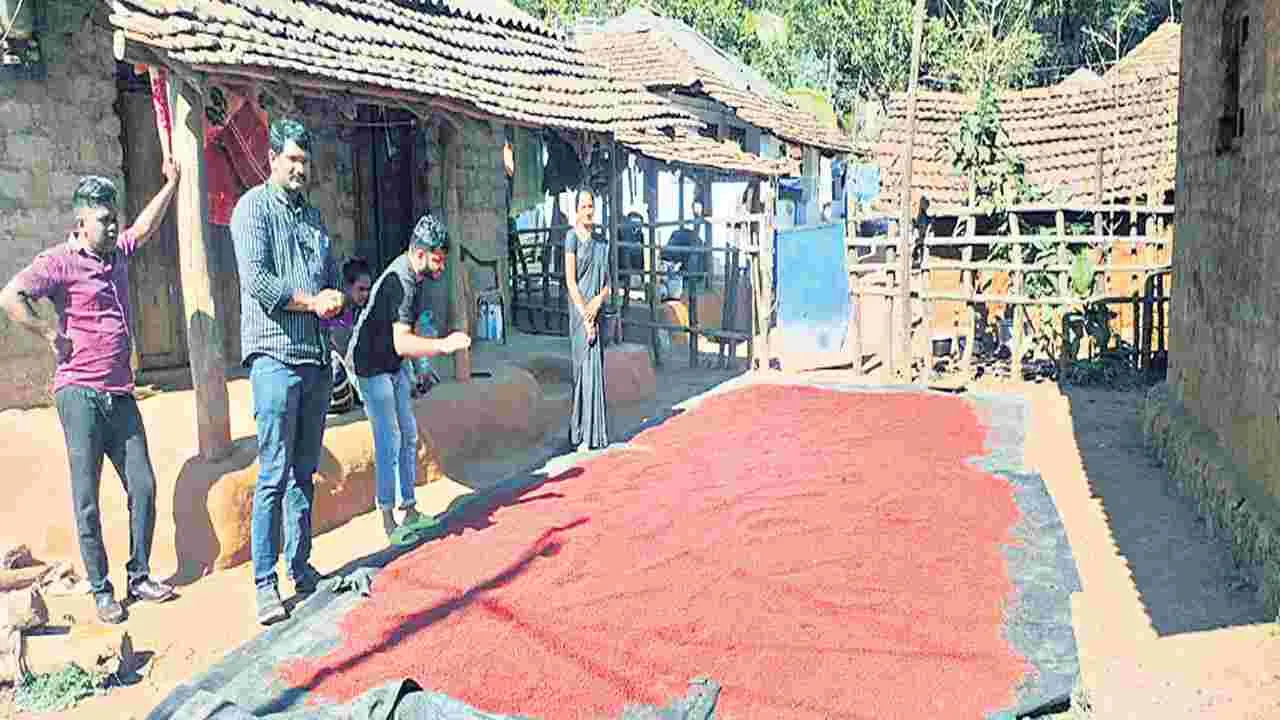 జాఫ్రాకు రికార్డు స్థాయి ధర