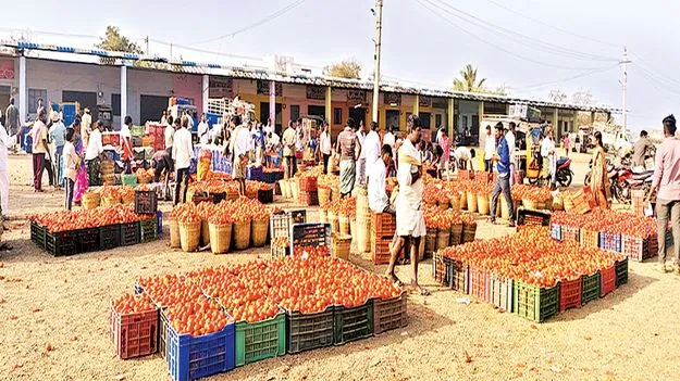 పత్తికొండలో నిలిచిన టమోటా విక్రయాలు