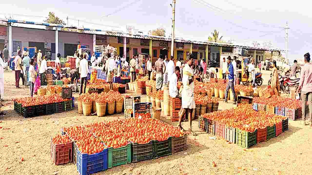 పత్తికొండలో నిలిచిన టమోటా విక్రయాలు