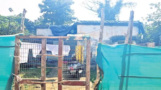 జాఫ్రా ధర పతనం