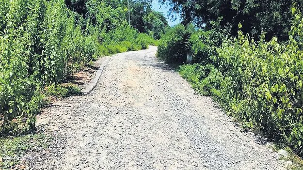 పులుసుమామిడి- లుంగపర్తి రోడ్డుకు మోక్షం