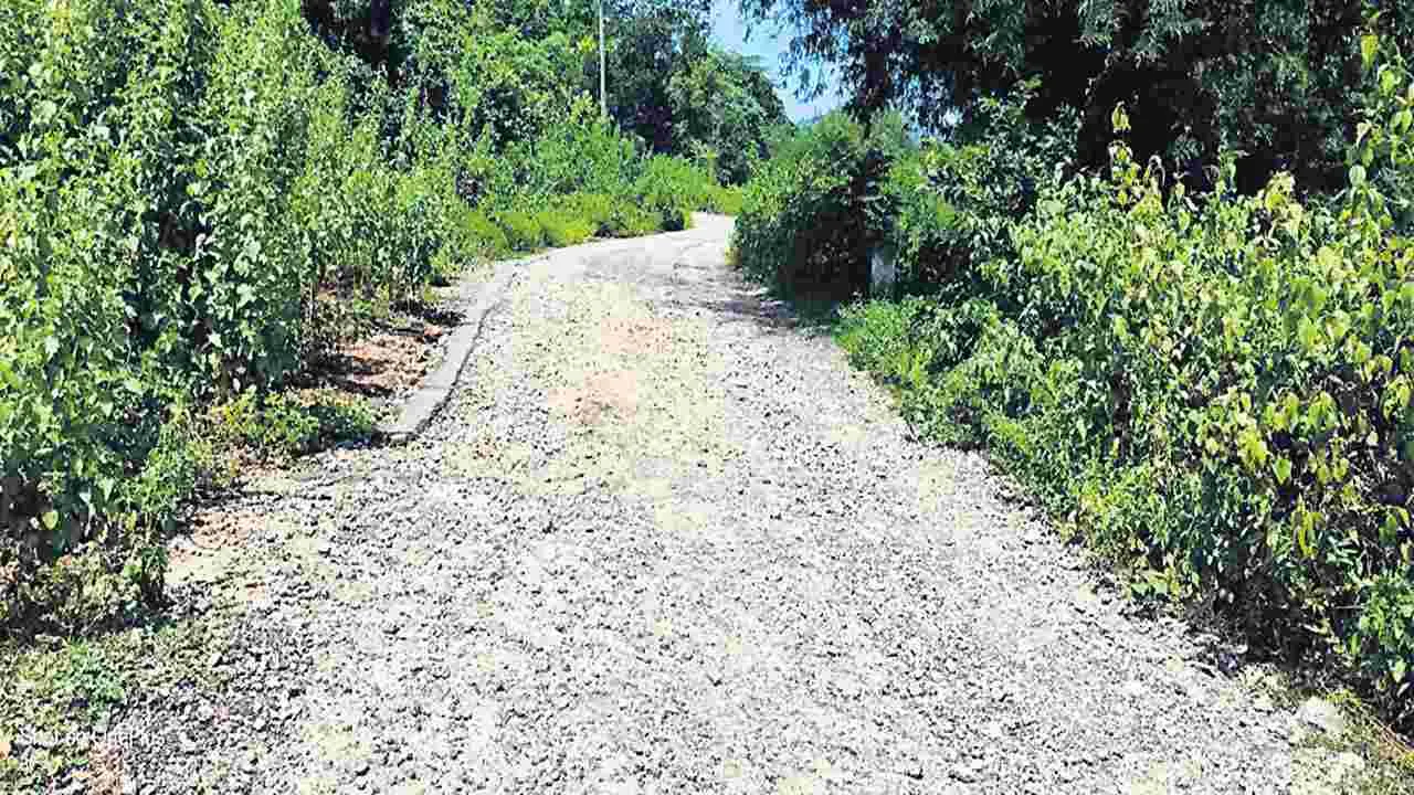 పులుసుమామిడి- లుంగపర్తి రోడ్డుకు మోక్షం