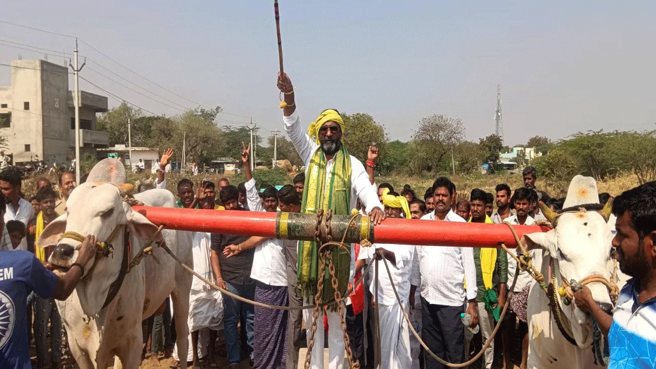 రాతిదూలం పోటీలు పల్లె సంస్కృతిని చాటుతాయి
