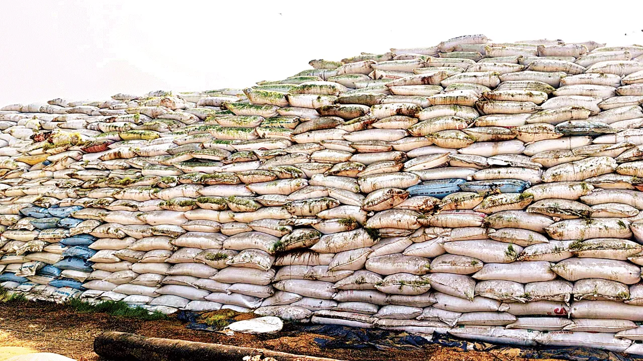 Wetting.. drying తడుస్తూ.. ఎండుతూ