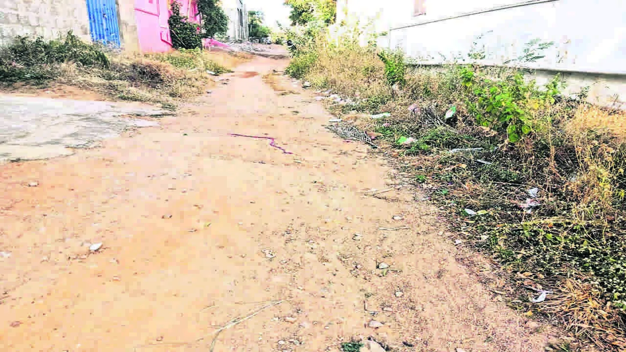 COLONY: కనీస సౌకర్యాలు కరువు